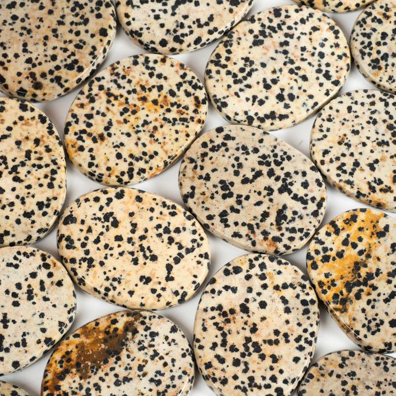Dalmatian Jasper Palm Stone Crystal Palm Stones Crystal Magic
