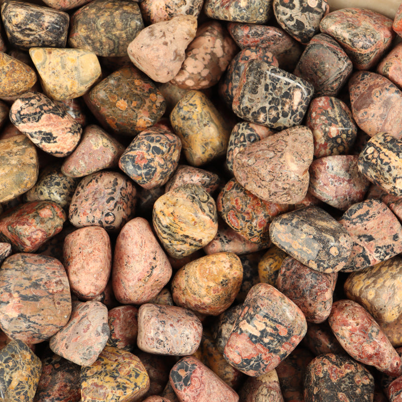 Leopard Skin Jasper Tumbled Crystal Tumbled Crystal Magic