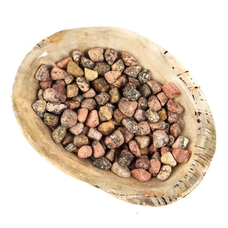 Leopard Skin Jasper Tumbled Crystal Tumbled Crystal Magic