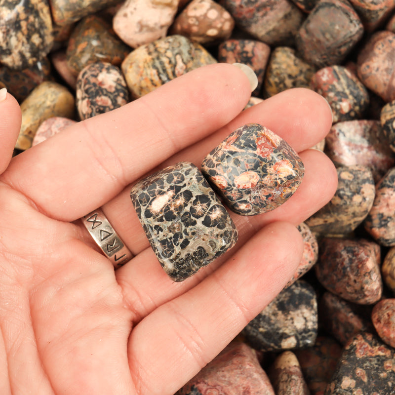 Leopard Skin Jasper Tumbled Crystal Tumbled Crystal Magic