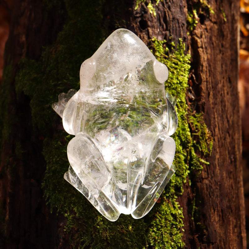 Clear Quartz Crystal Frog Crystal Carvings Crystal Magic