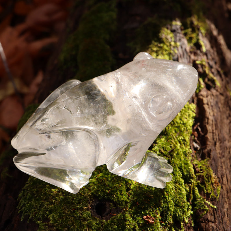 Clear Quartz Crystal Frog Crystal Carvings Crystal Magic