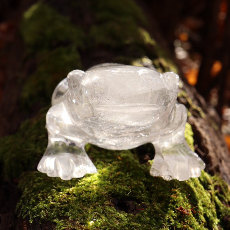 Clear Quartz Crystal Frog Crystal Carvings Crystal Magic