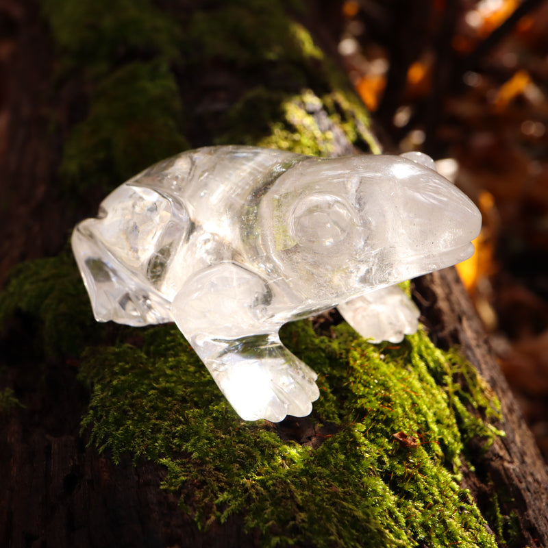 Clear Quartz Crystal Frog Crystal Carvings Crystal Magic