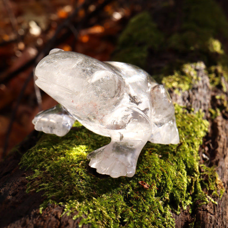 Clear Quartz Crystal Frog Crystal Carvings Crystal Magic