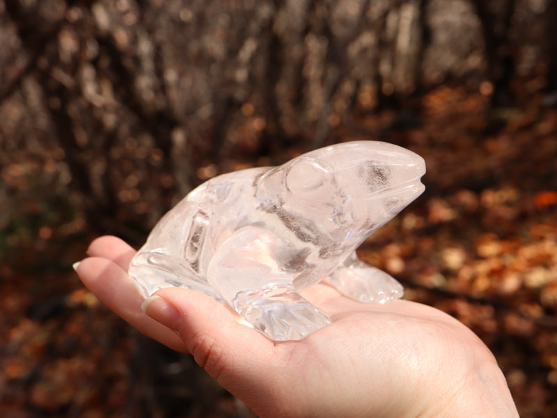 Clear Quartz Crystal Frog Crystal Carvings Crystal Magic