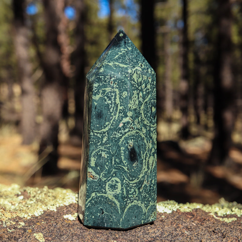 Kambaba Jasper Point