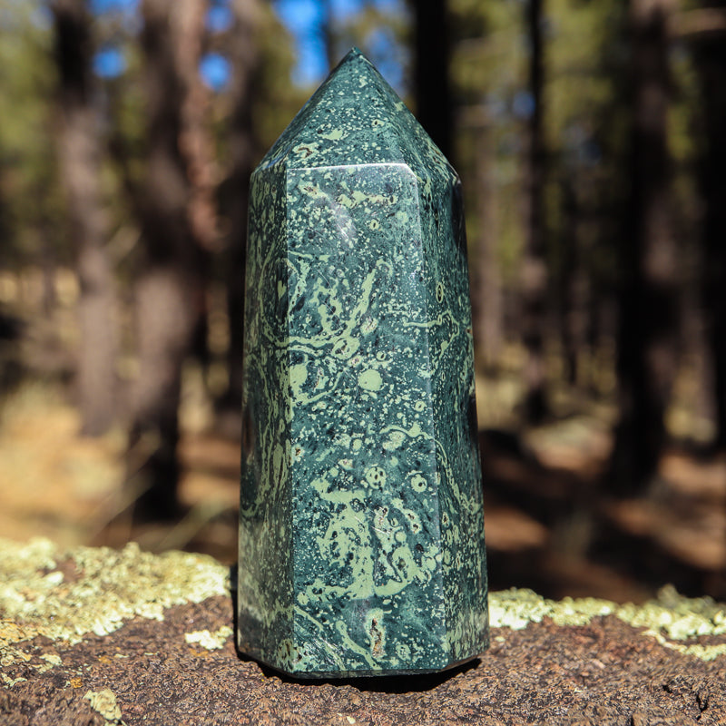 Kambaba Jasper Point