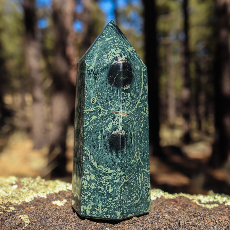 Kambaba Jasper Point