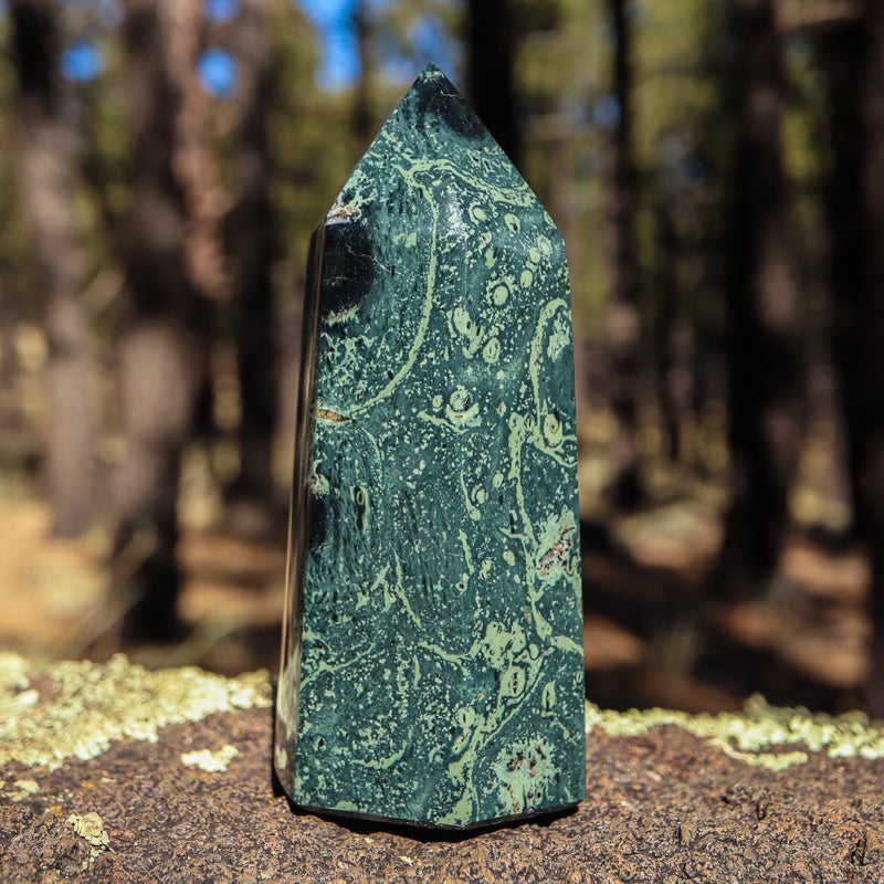 Kambaba Jasper Point