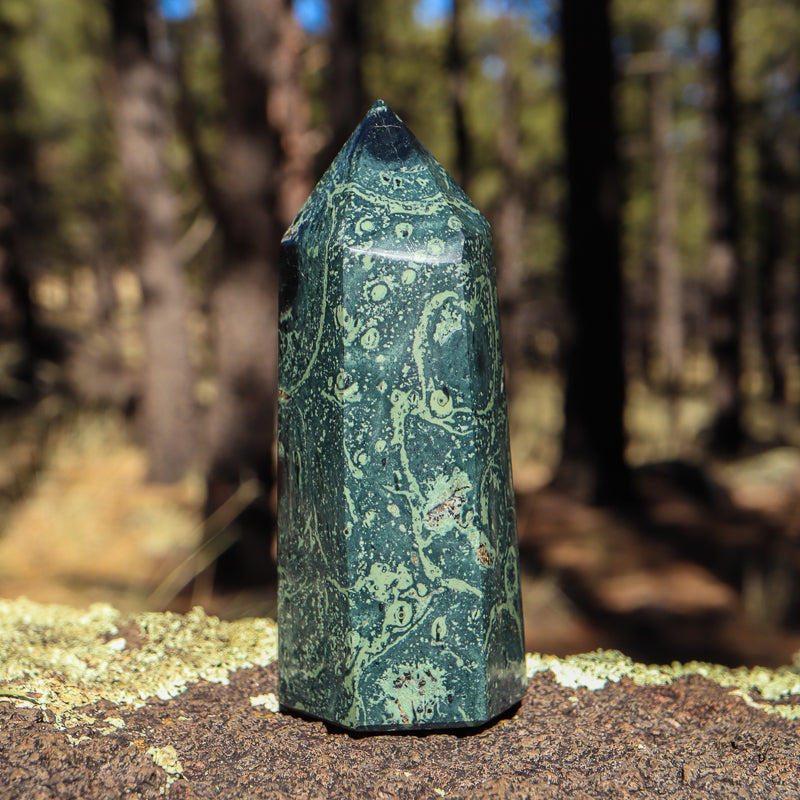 Kambaba Jasper Point