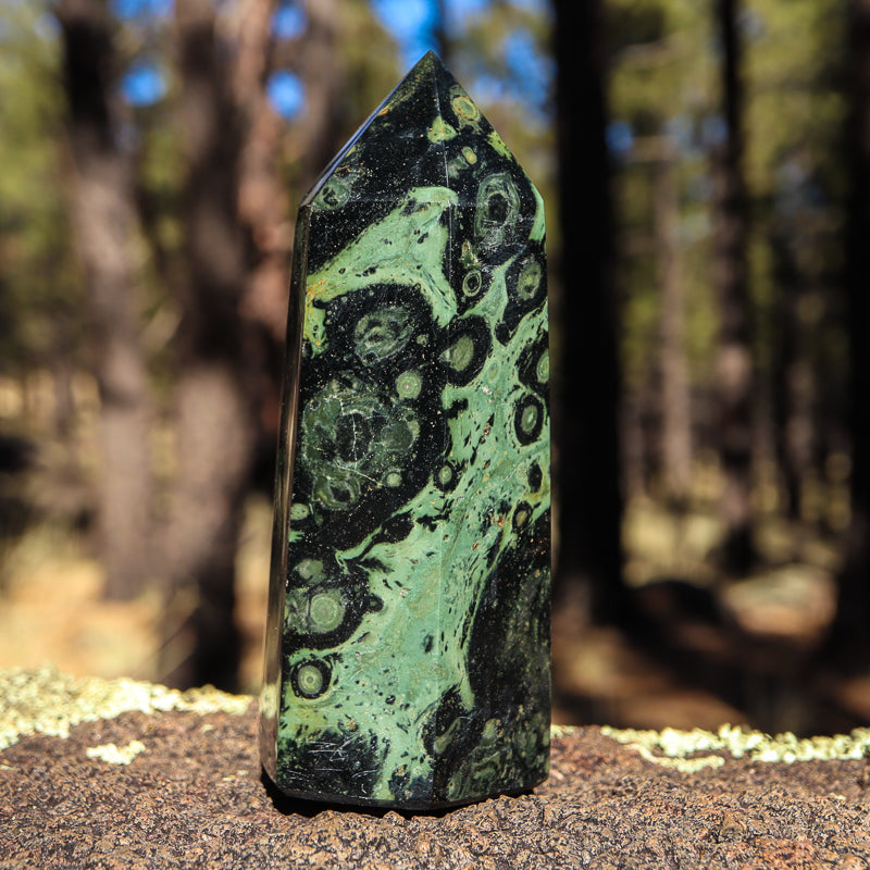 Kambaba Jasper Point