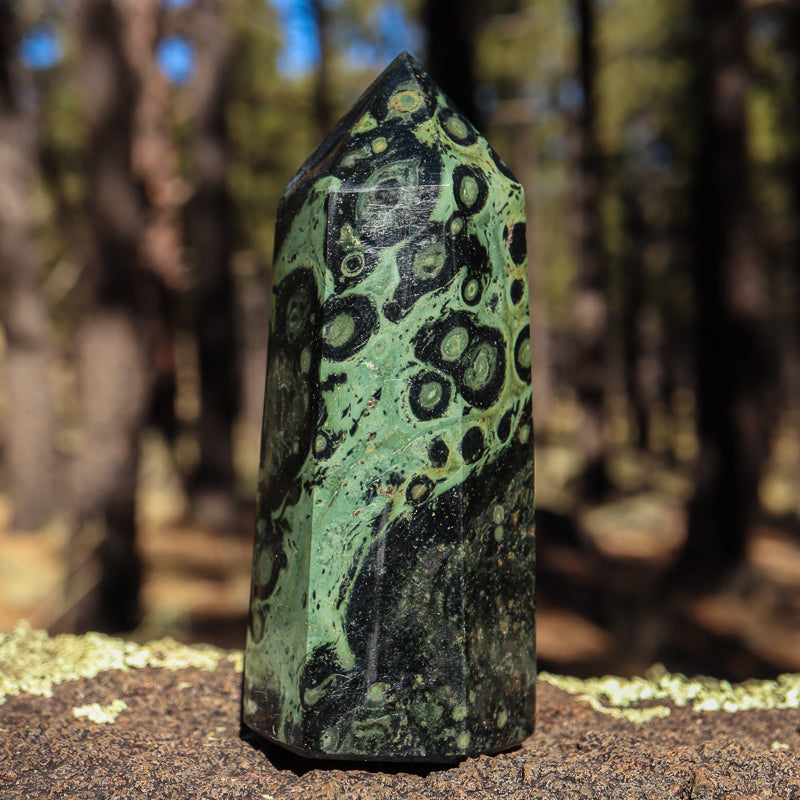 Kambaba Jasper Point