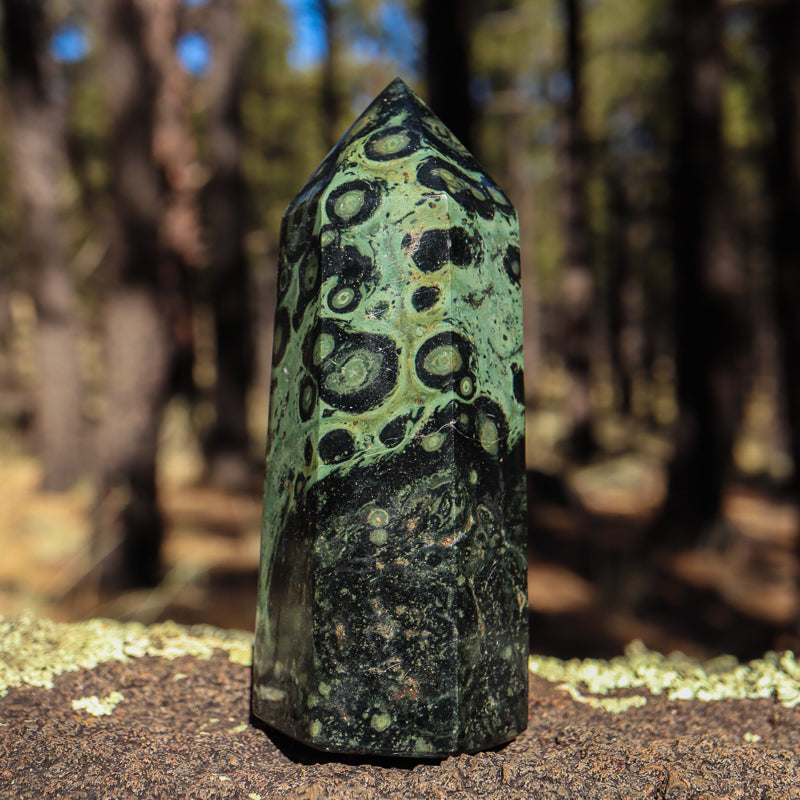 Kambaba Jasper Point