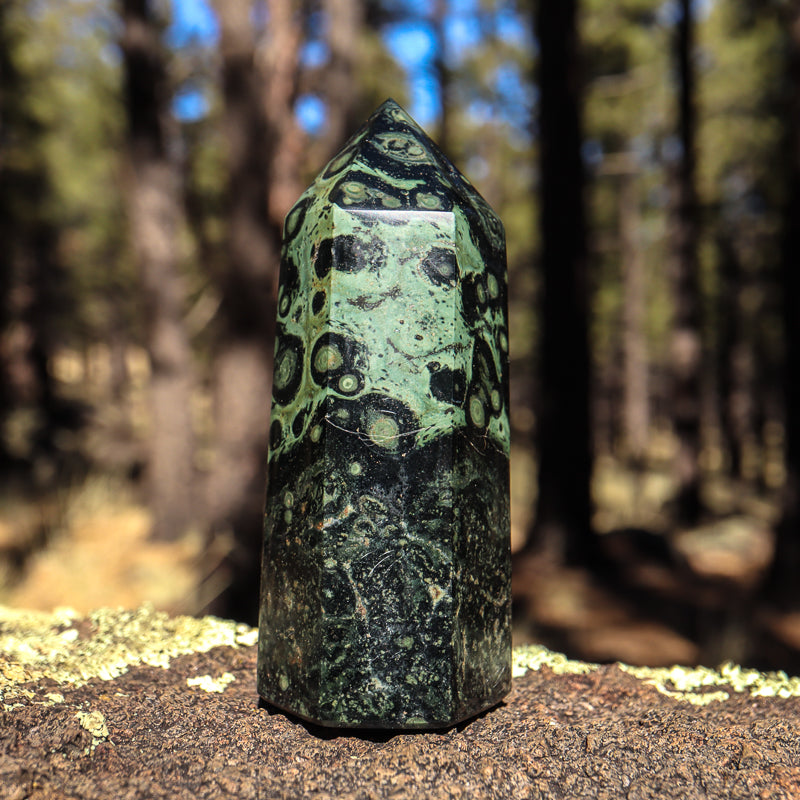 Kambaba Jasper Point