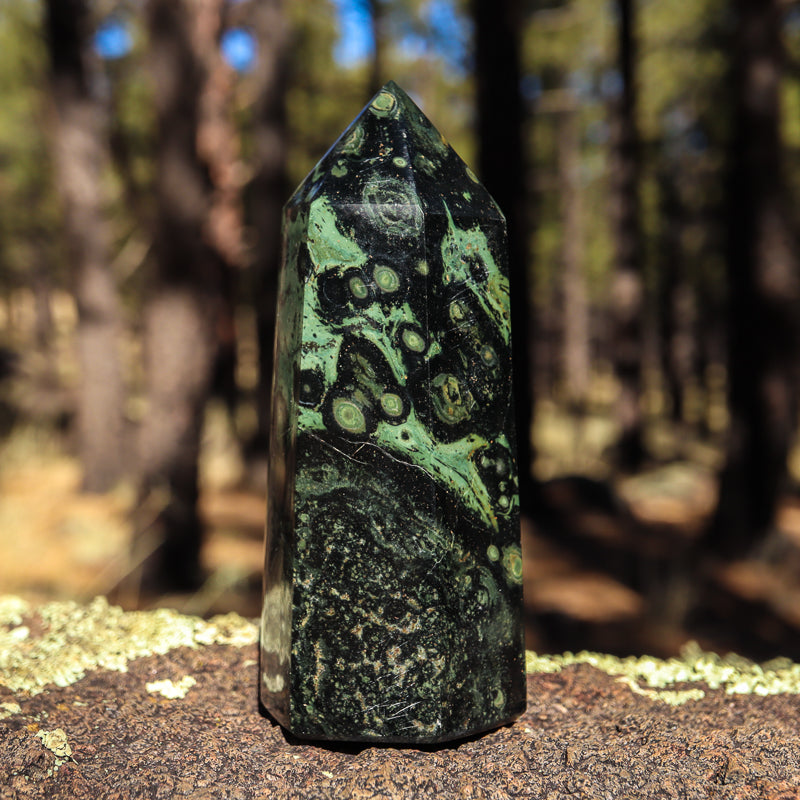 Kambaba Jasper Point