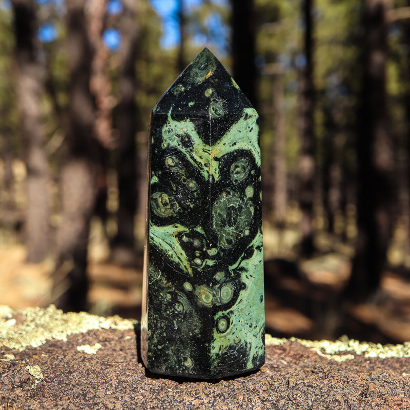 Kambaba Jasper Point