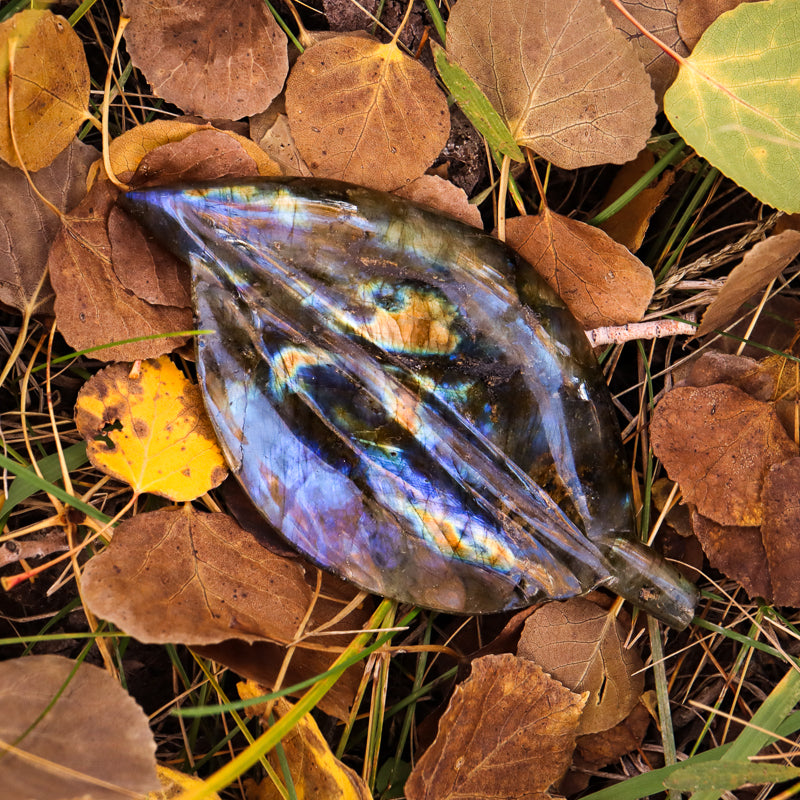 Labradorite Leaf