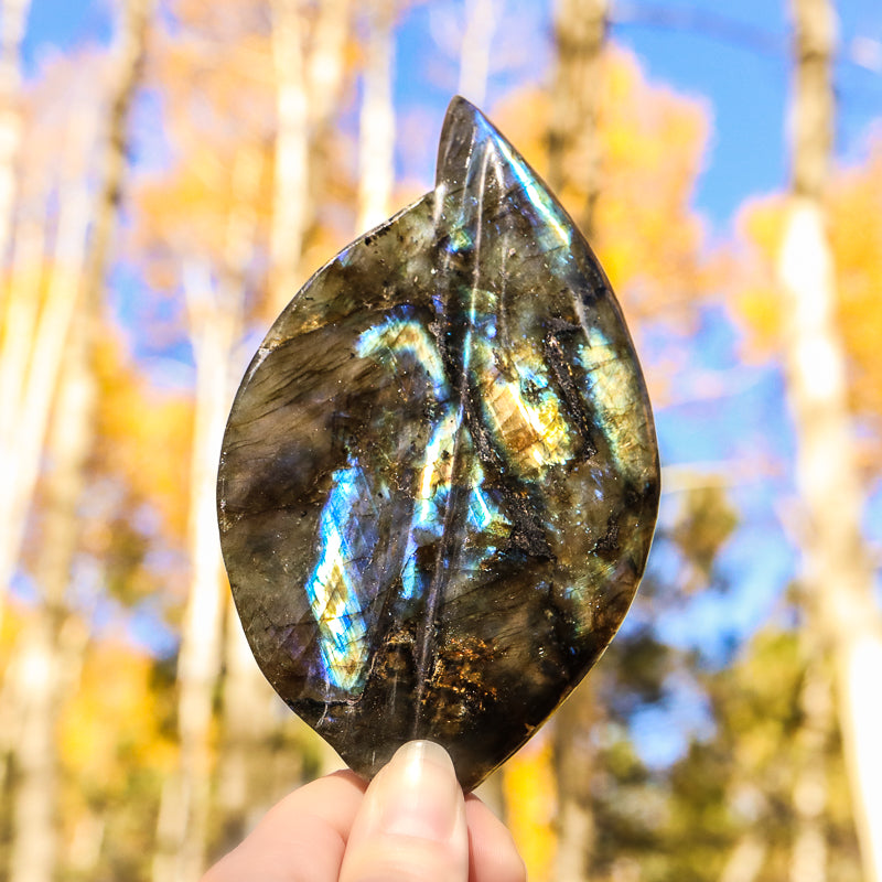 Labradorite Leaf