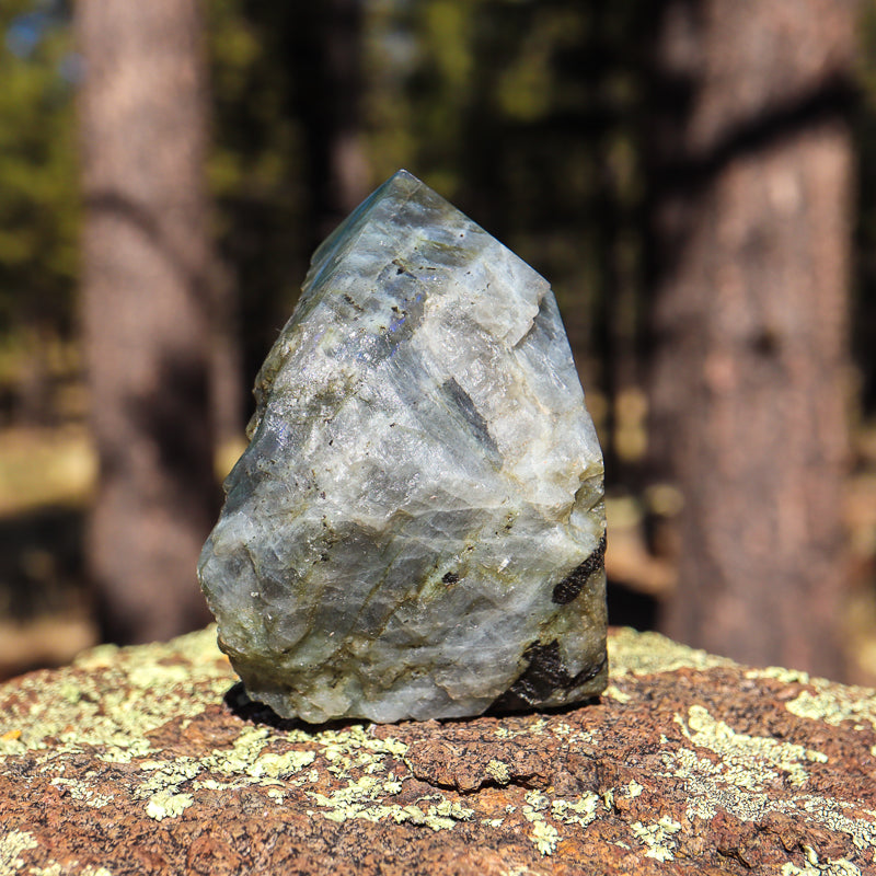Raw Labradorite Natural Point