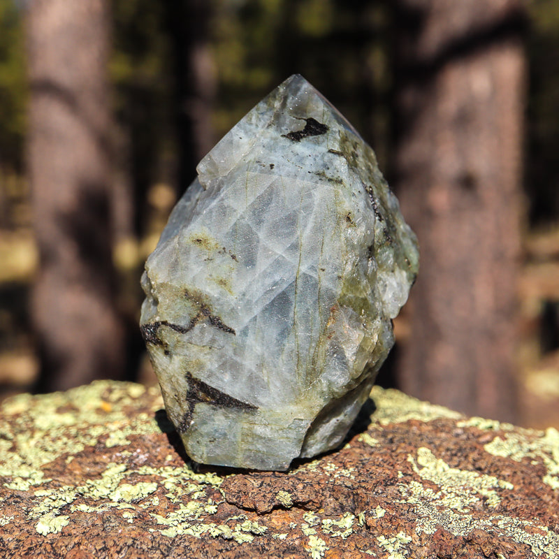 Raw Labradorite Natural Point