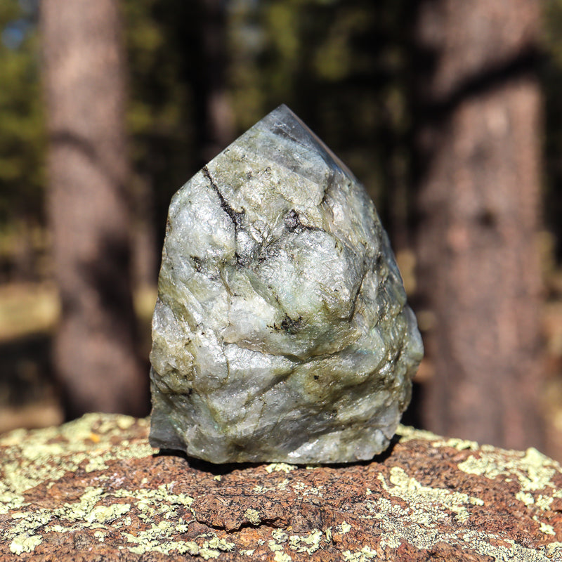 Raw Labradorite Natural Point