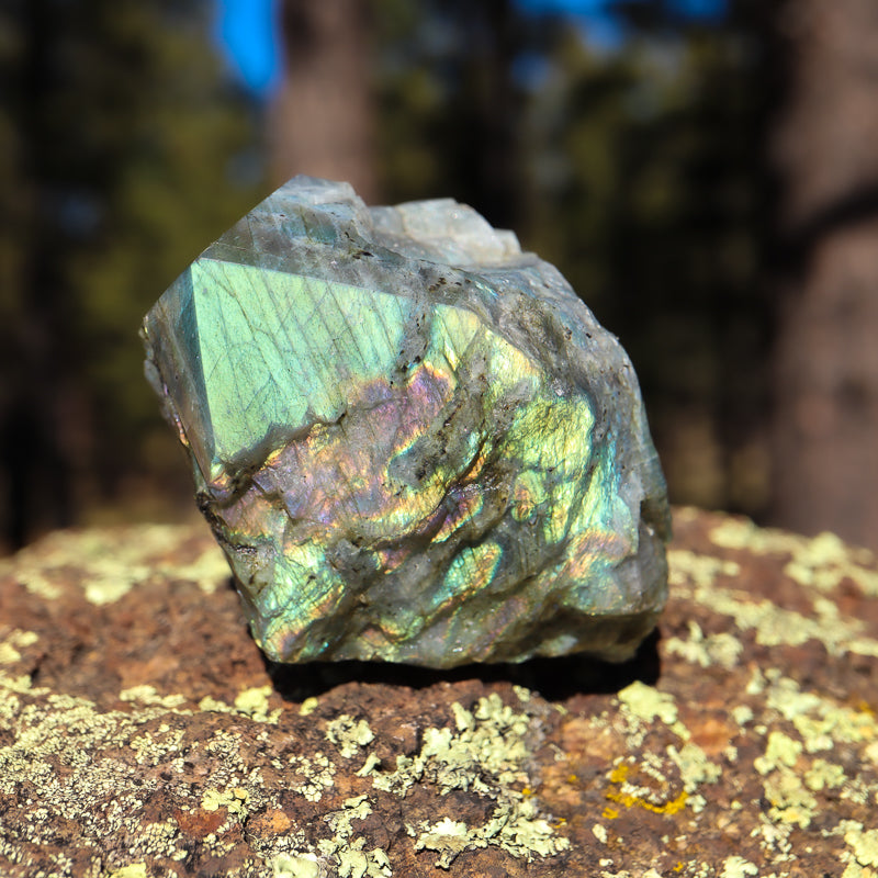 Raw Labradorite Natural Point