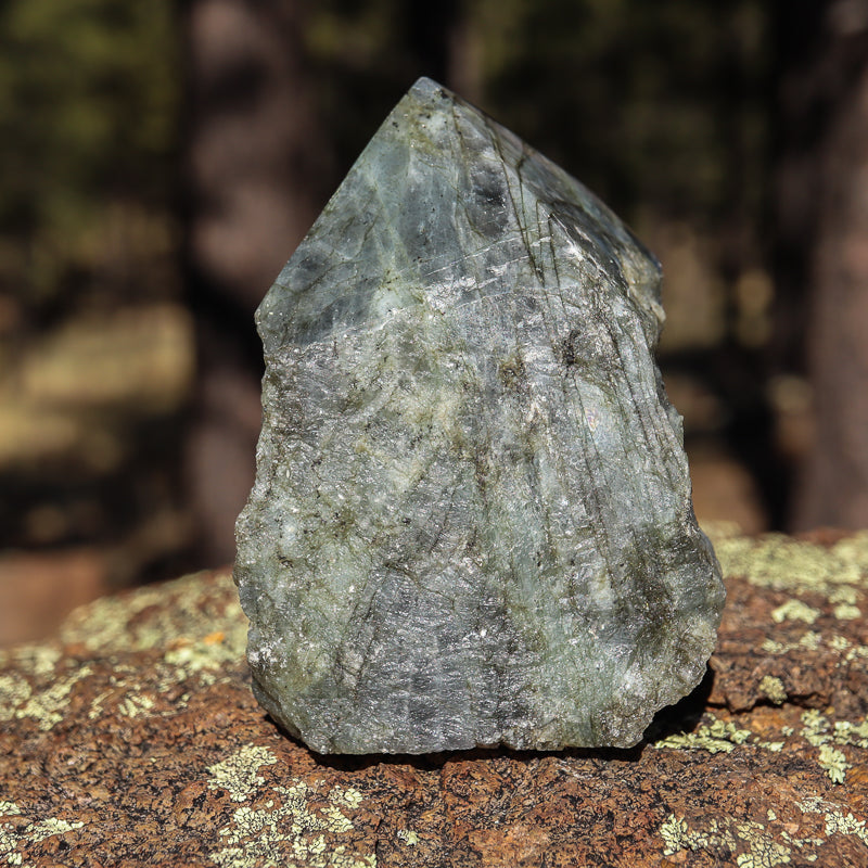 Raw Labradorite Natural Point
