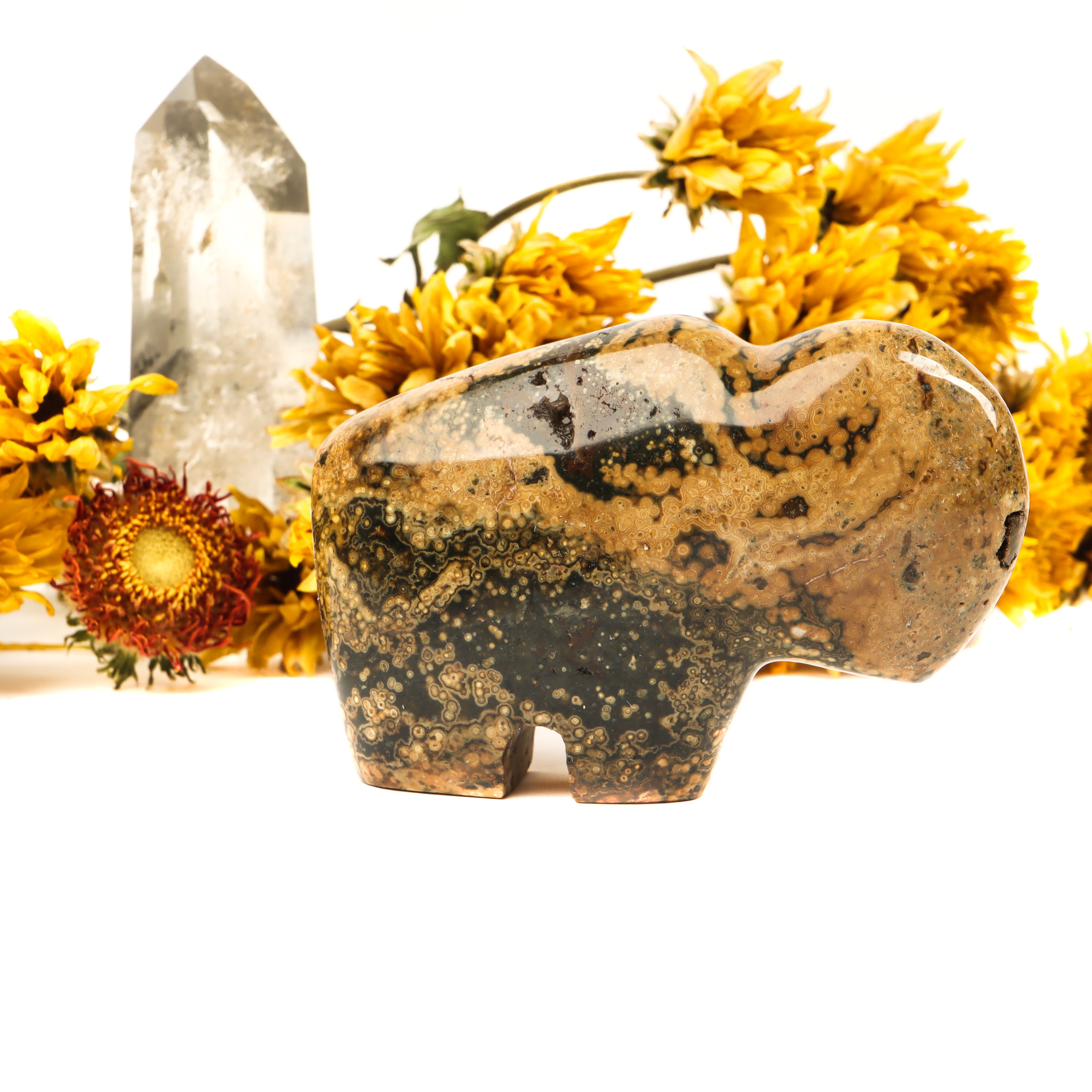 Ocean Jasper Carved Buffalo Crystal Carvings Crystal Magic
