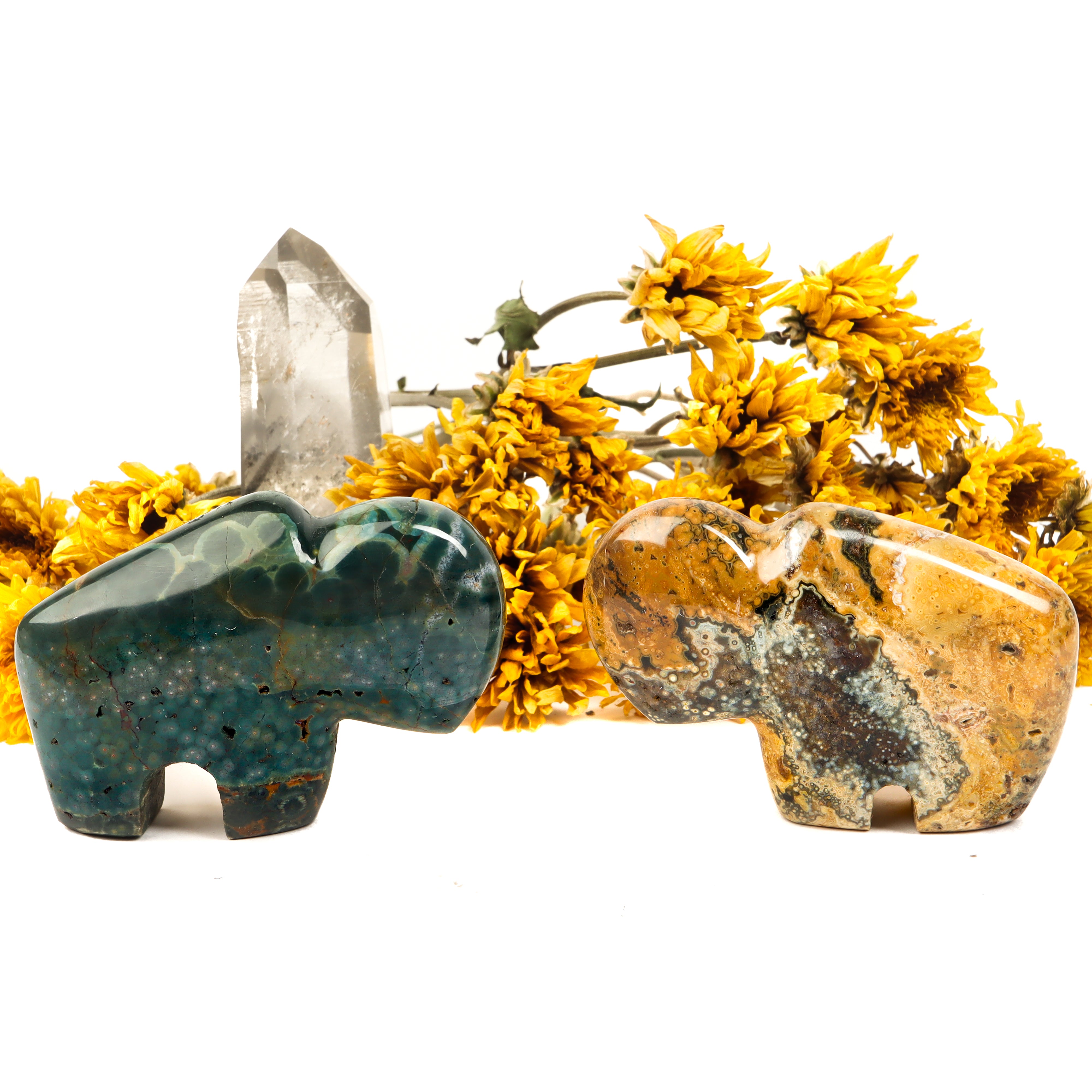 Ocean Jasper Carved Buffalo Crystal Carvings Crystal Magic