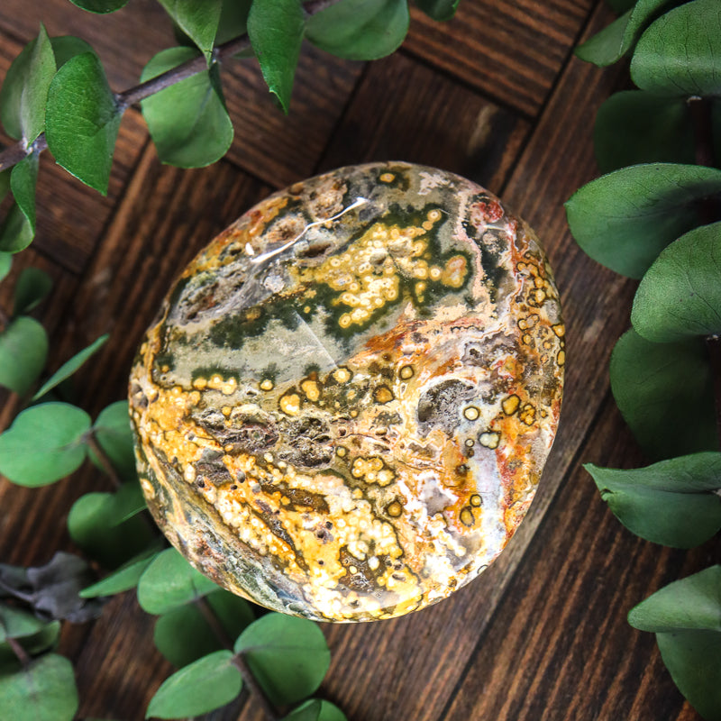 Ocean Jasper Polished Free Form