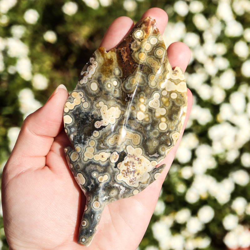 Ocean Jasper Leaf Crystal Carvings Crystal Magic