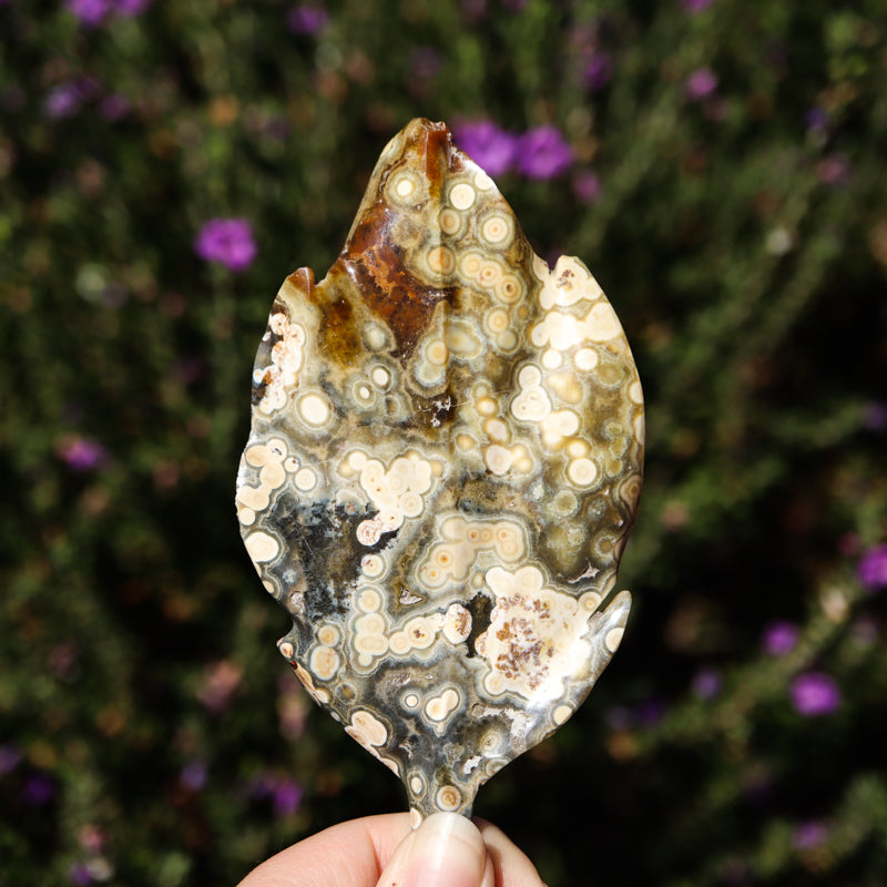 Ocean Jasper Leaf Crystal Carvings Crystal Magic