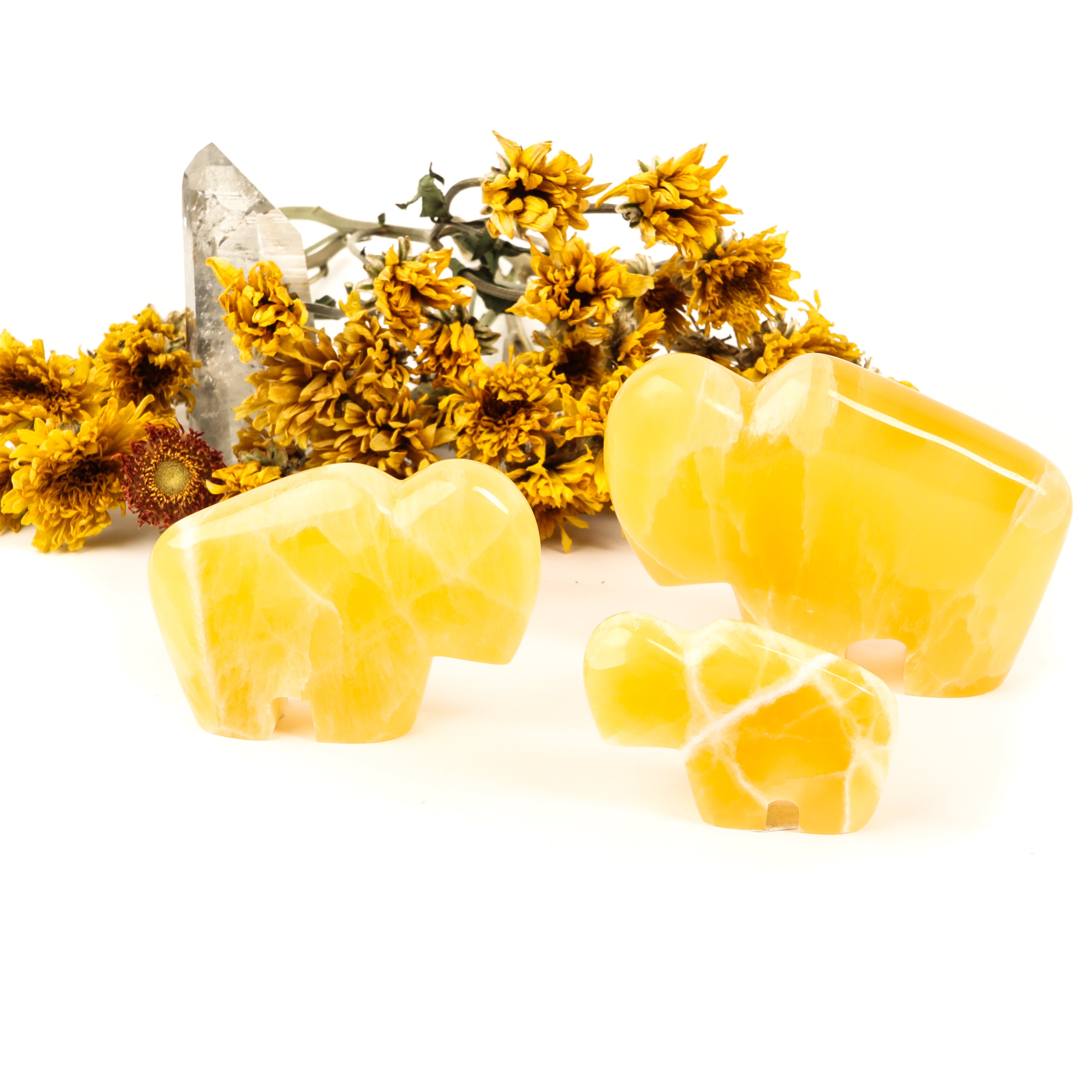 Honeycomb Calcite Carved Buffalo Crystal Carving Crystal Magic