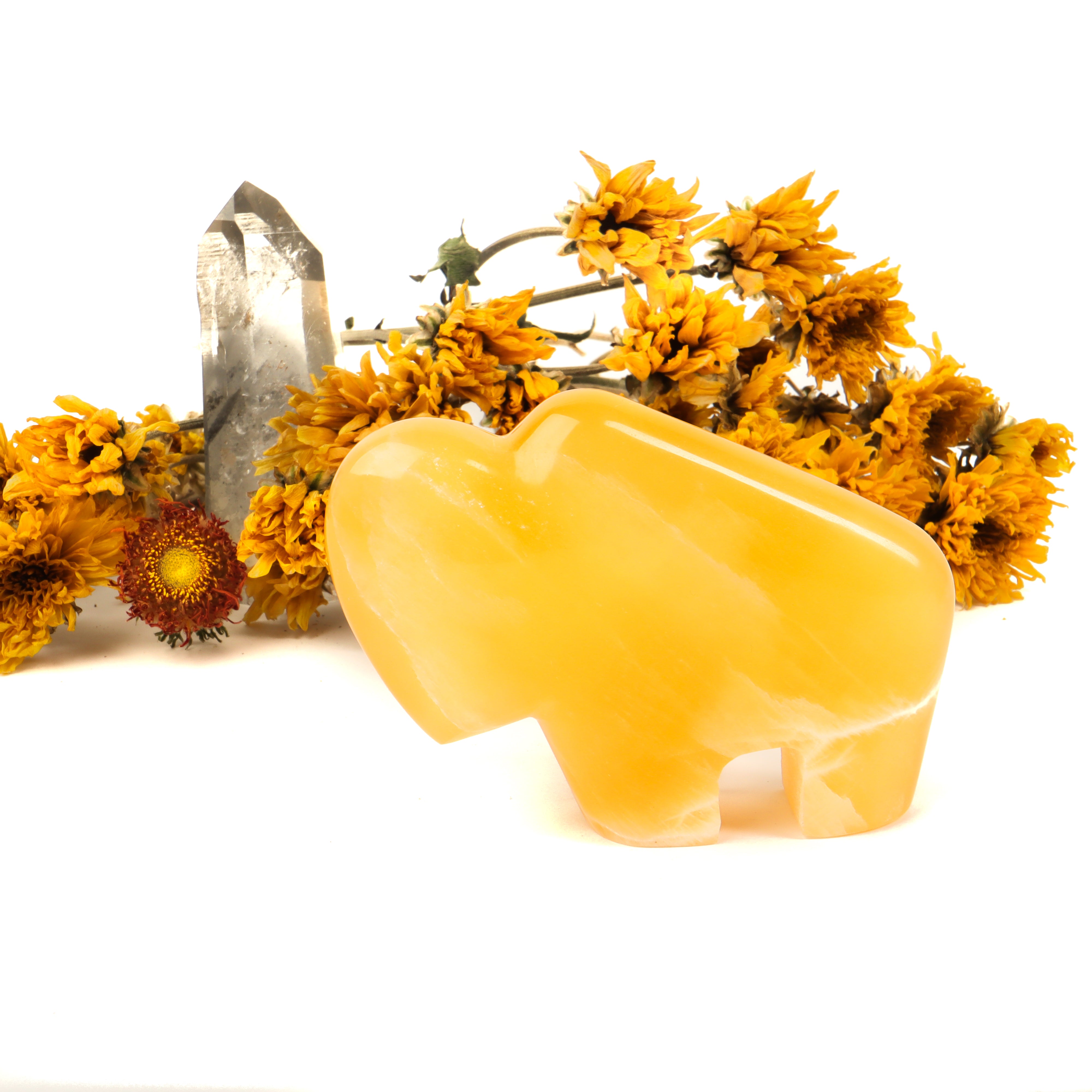 Honeycomb Calcite Carved Buffalo Crystal Carving Crystal Magic