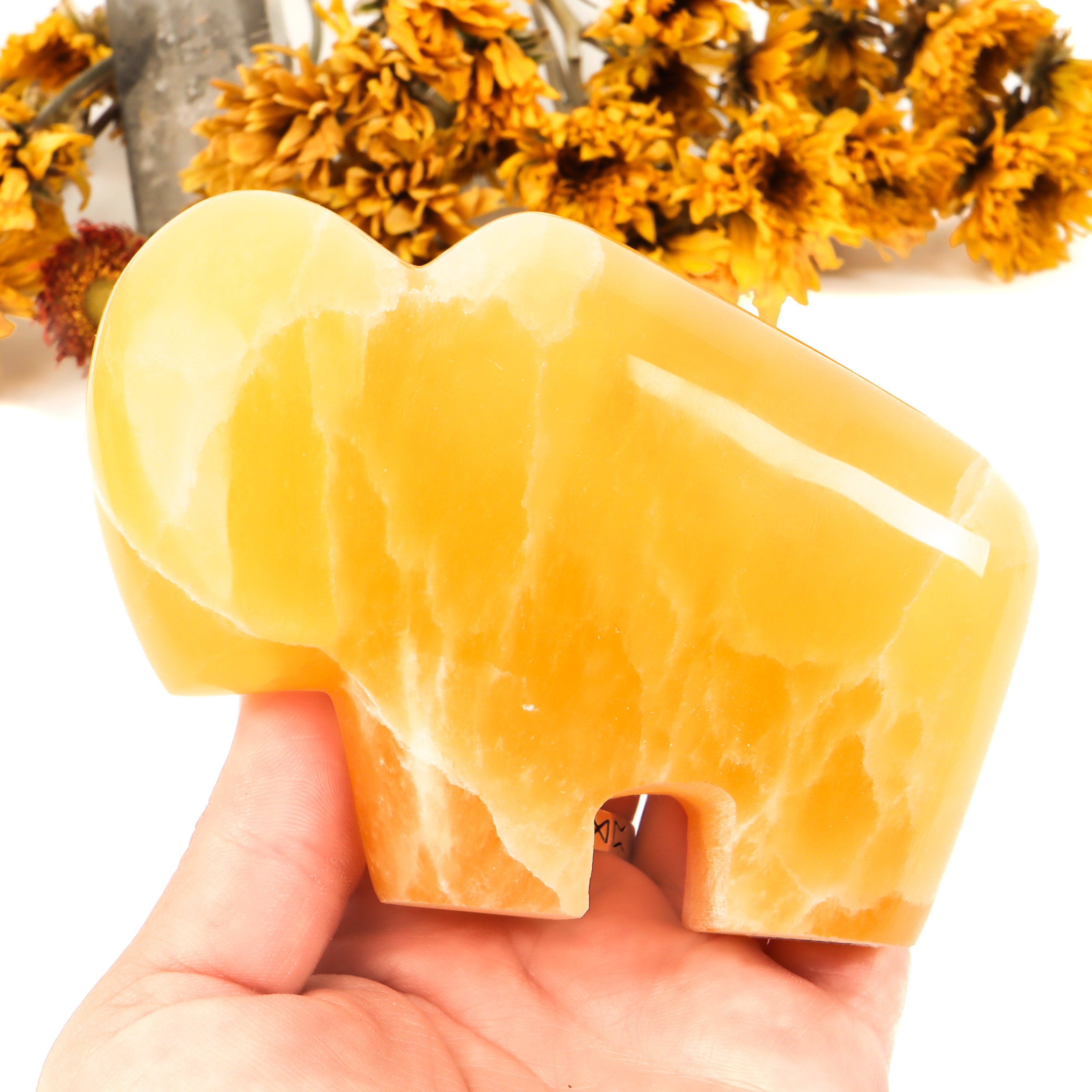 Honeycomb Calcite Carved Buffalo Crystal Carving Crystal Magic Large