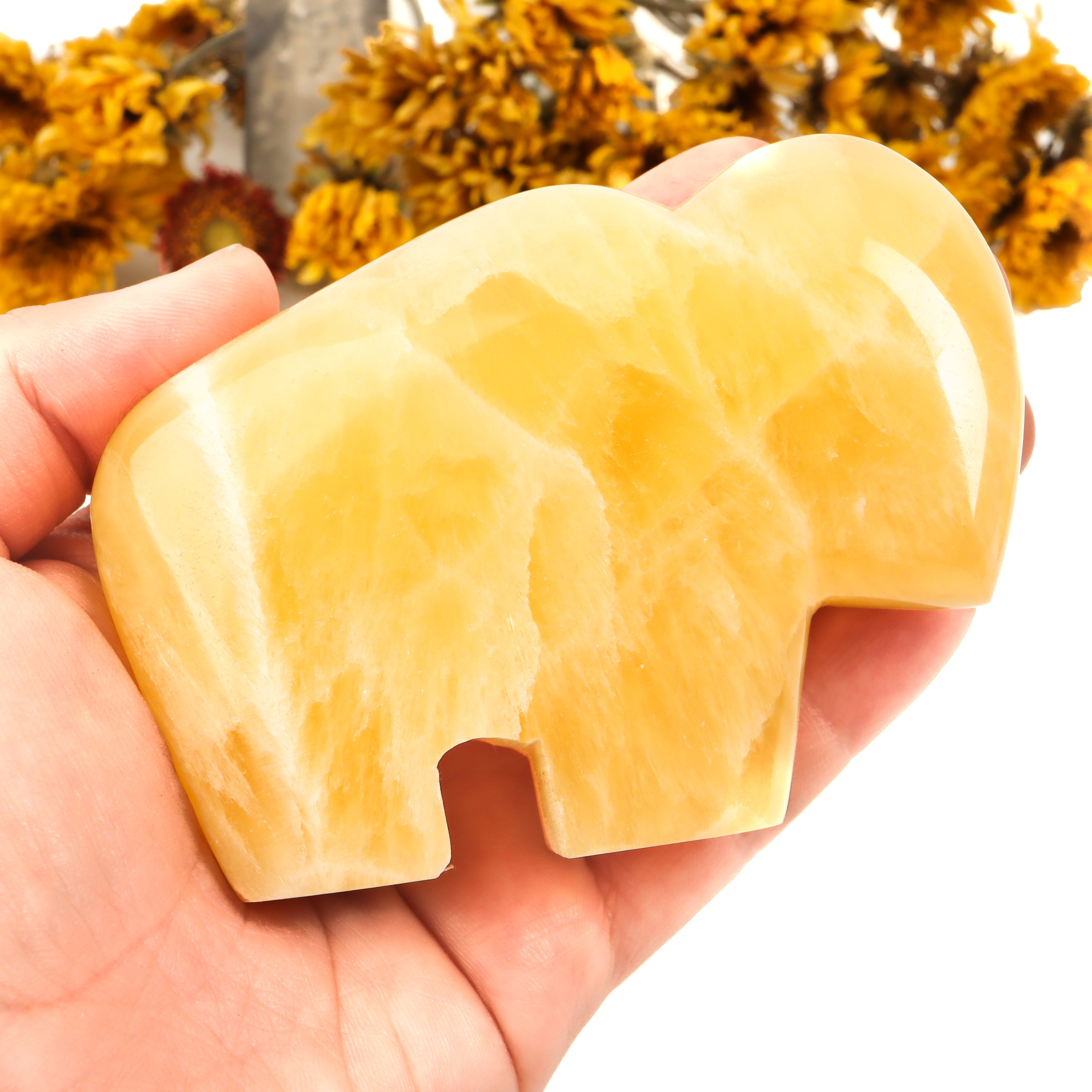 Honeycomb Calcite Carved Buffalo Crystal Carving Crystal Magic Medium