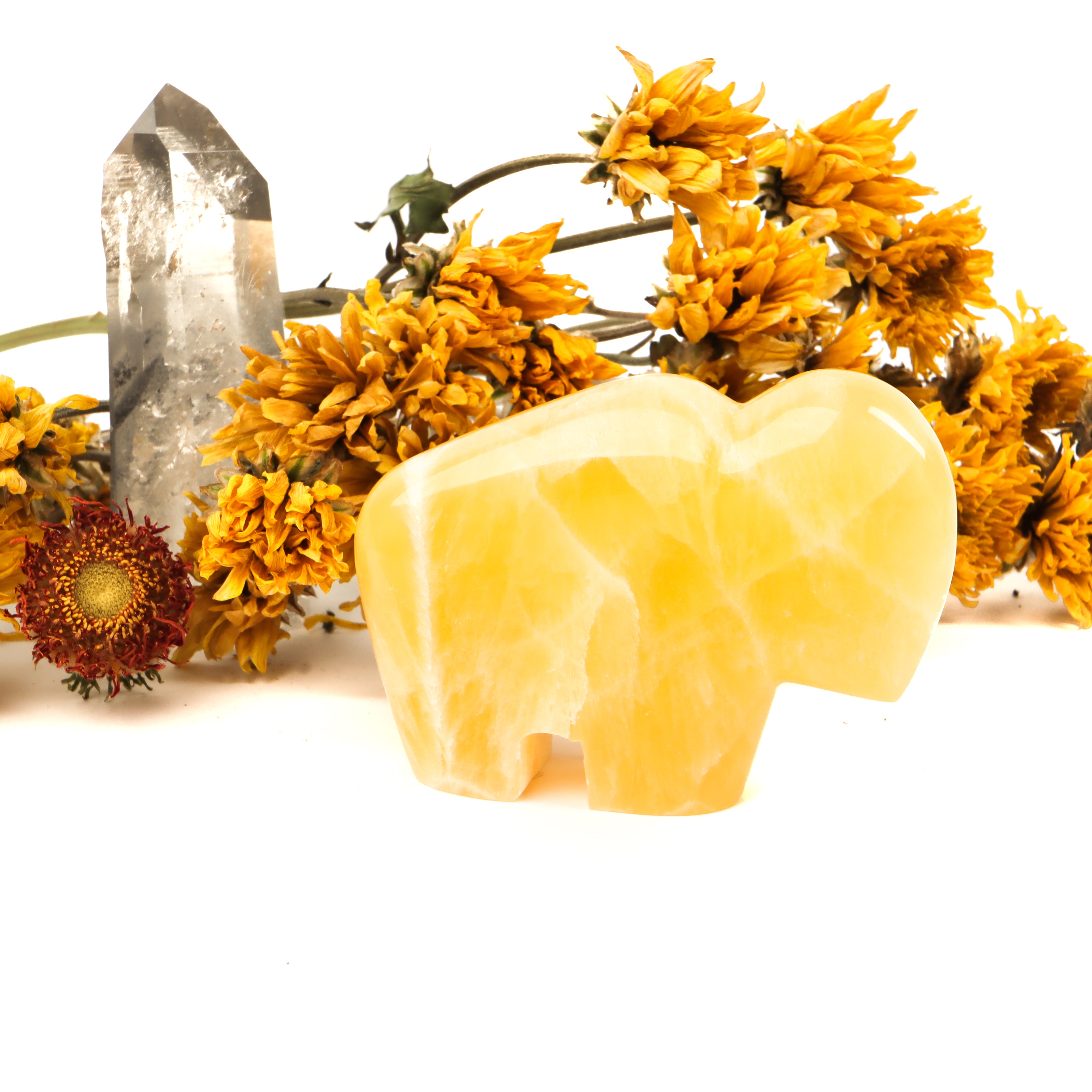 Honeycomb Calcite Carved Buffalo Crystal Carving Crystal Magic