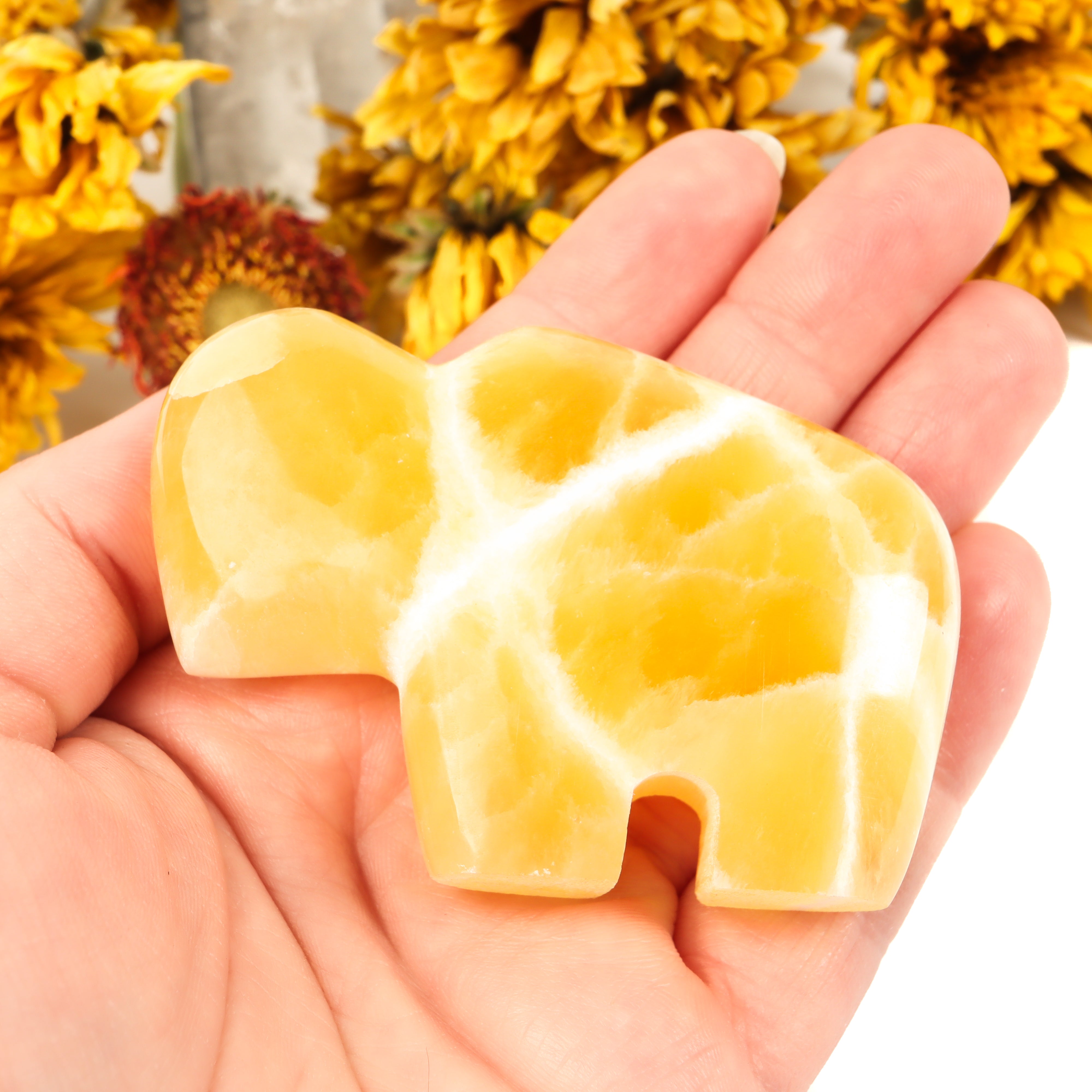 Honeycomb Calcite Carved Buffalo Crystal Carving Crystal Magic Small