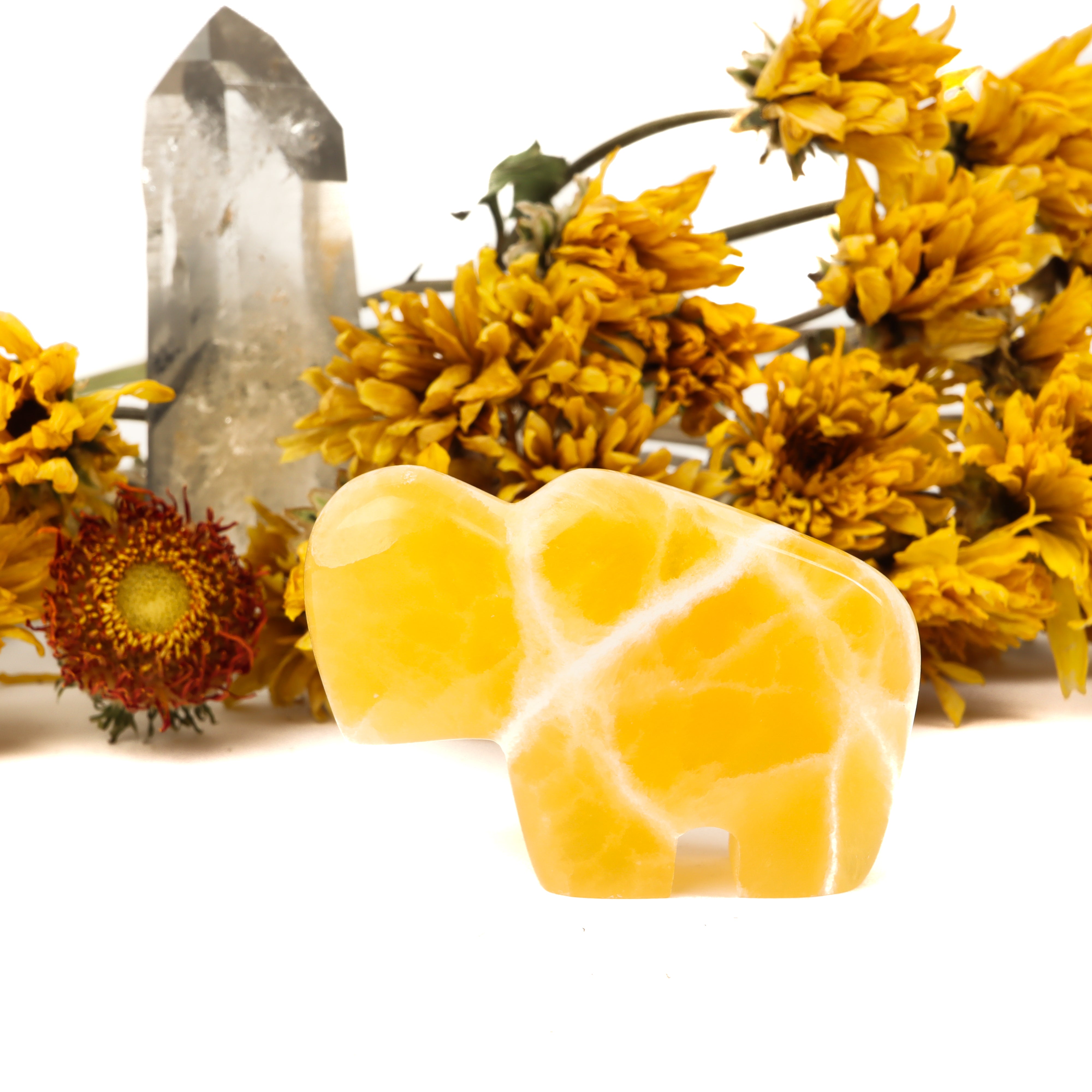 Honeycomb Calcite Carved Buffalo Crystal Carving Crystal Magic