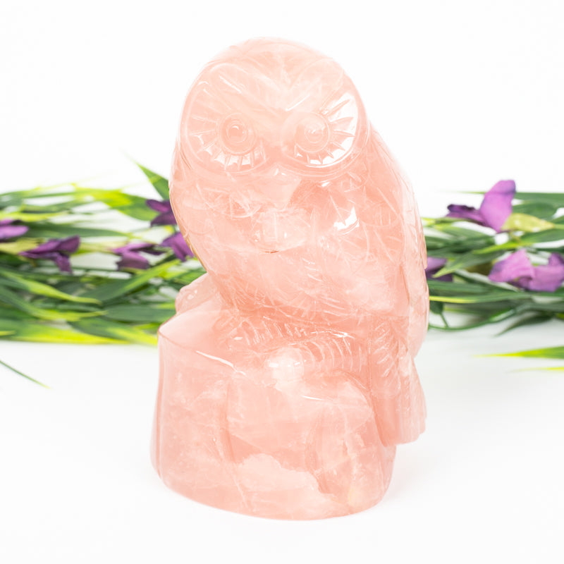 Rose Quartz Owl Crystal Carvings Crystal Magic