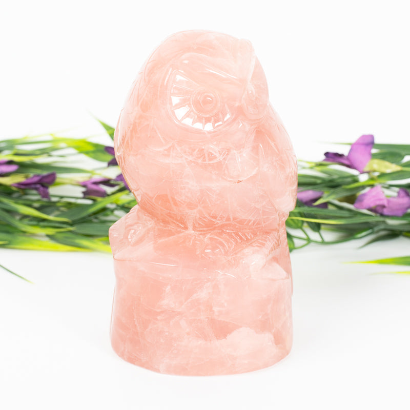 Rose Quartz Owl Crystal Carvings Crystal Magic