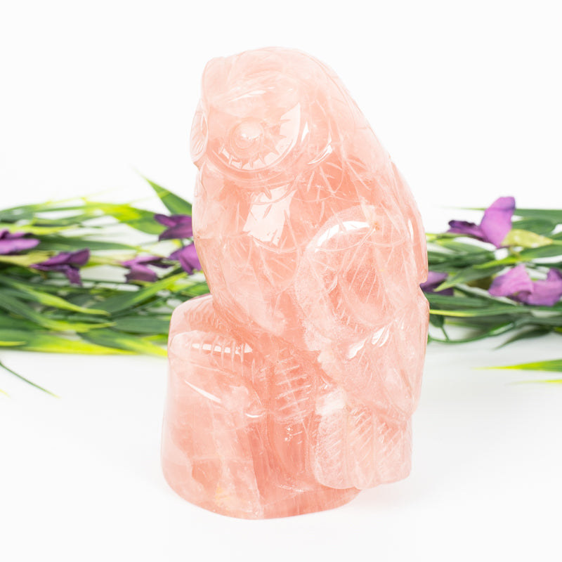 Rose Quartz Owl Crystal Carvings Crystal Magic