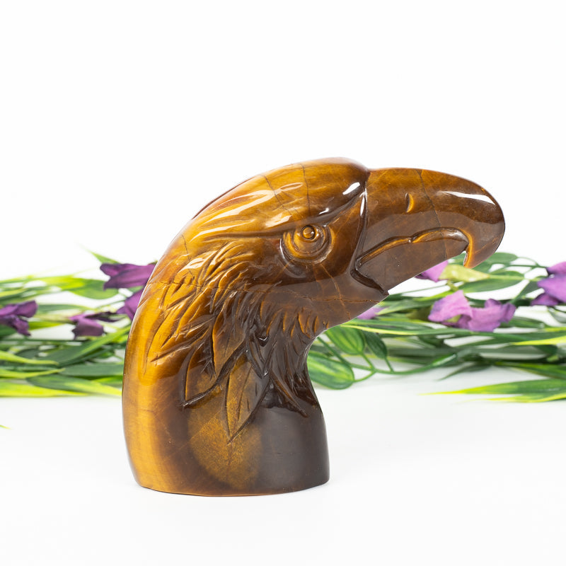 Tiger's Eye Eagle Crystal Carvings Crystal Magic