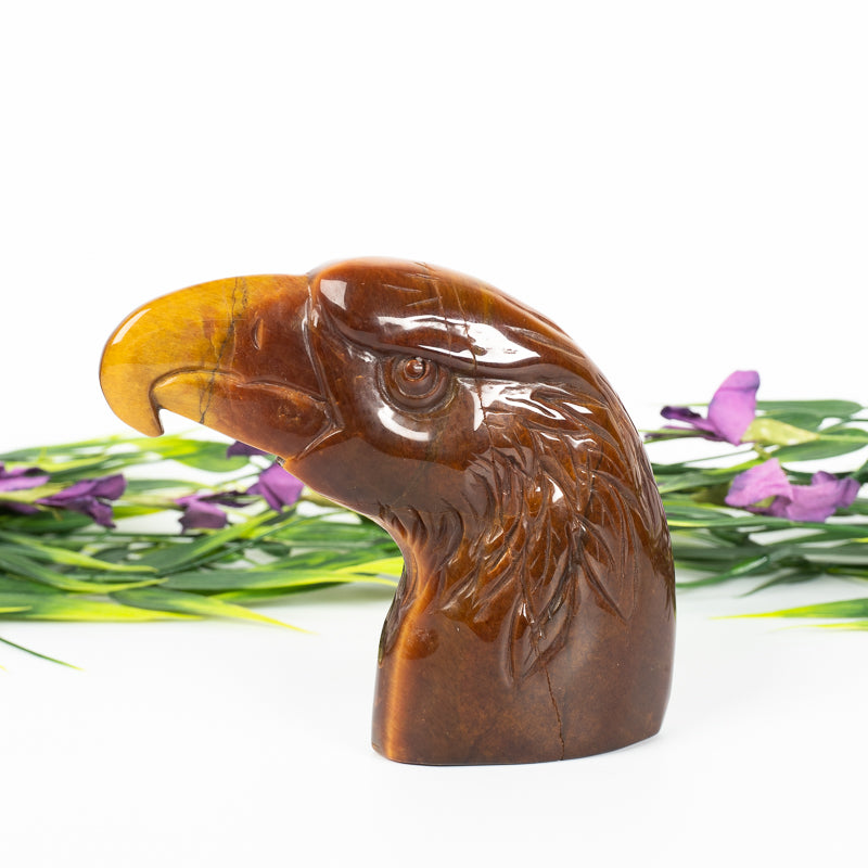 Tiger's Eye Eagle Crystal Carvings Crystal Magic