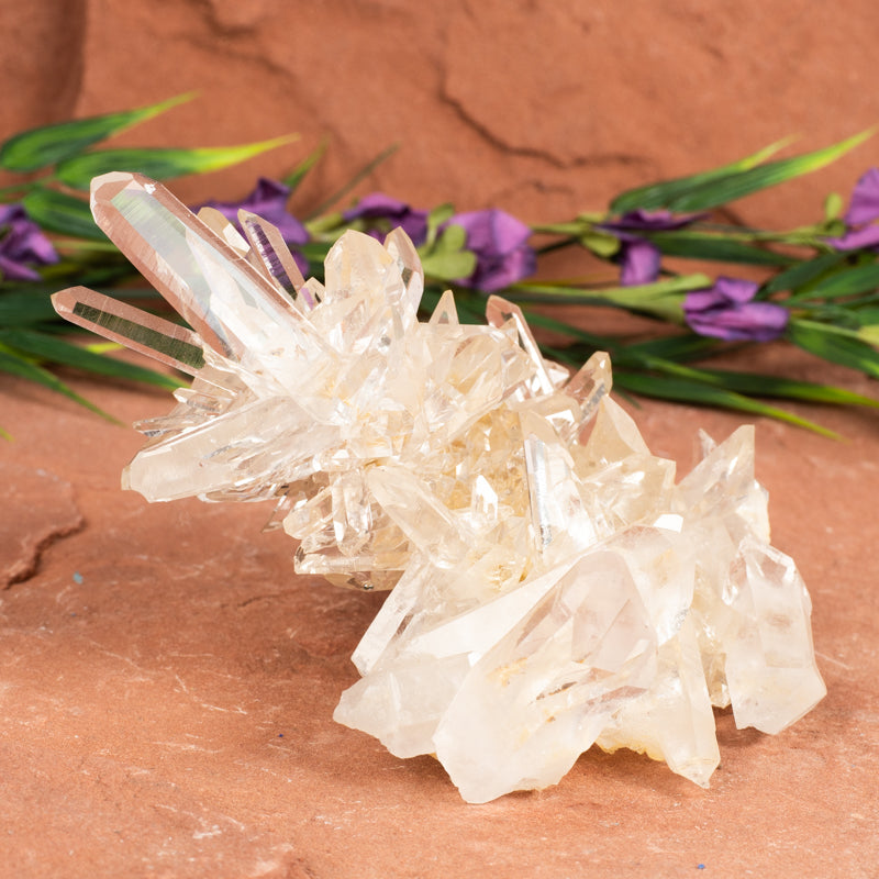 Clear Quartz Cluster Crystal Cluster Crystal Magic