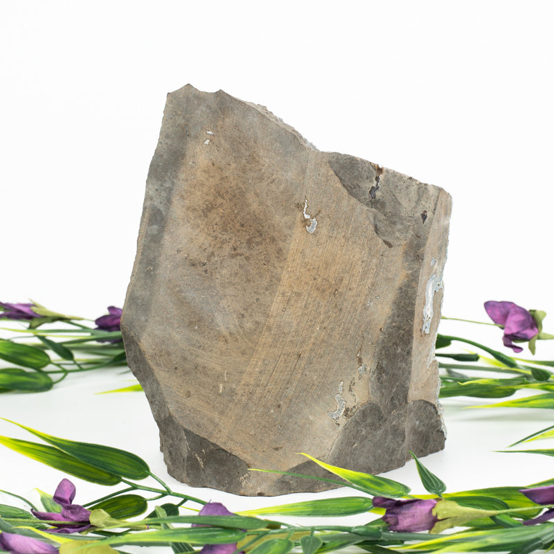 Black Amethyst Geode Crystal Geode Aquarius