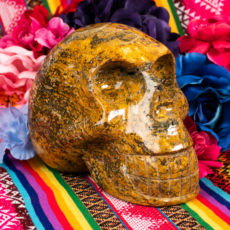 Ocean Jasper Skull Crystal Skull Crystal Magic