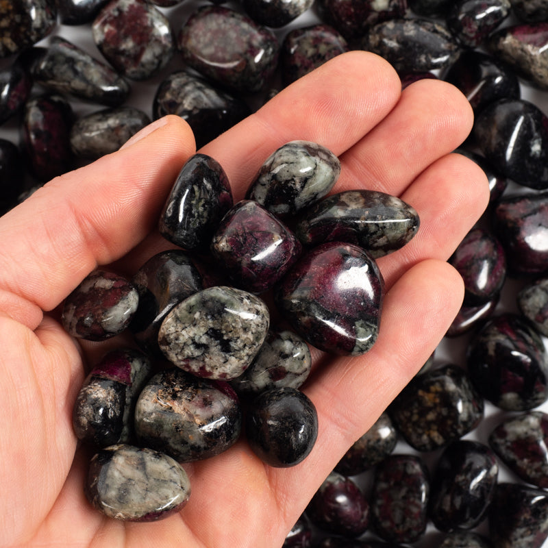 Eudialyte Tumbled Crystal Tumbled Aries