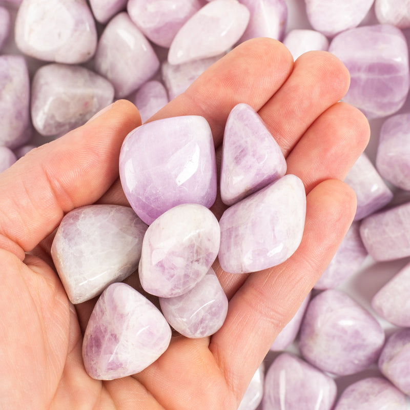 Kunzite Tumbled Crystal Tumbled Aries
